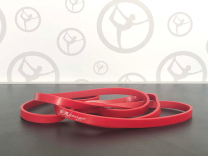 Large Loop Bands - Pull Up Assist Bands